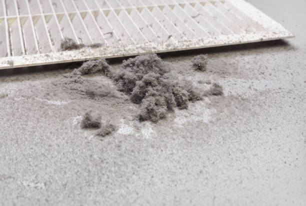 Best Air Duct Inspection  in River Heights, UT