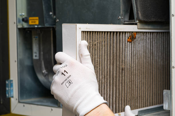 Best Affordable Duct Cleaning Services  in River Heights, UT